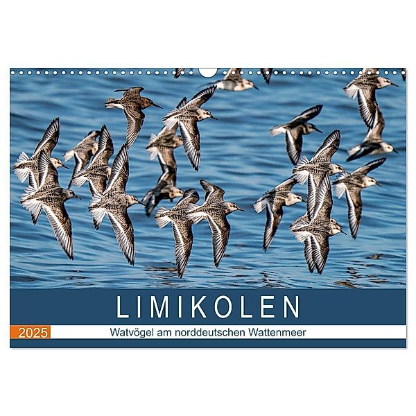 Limikolen - Watvögel am norddeutschen Wattenmeer (Wandkalender 2025 DIN A3 quer), CALVENDO Monatskalender, Calvendo, Arne Wünsche