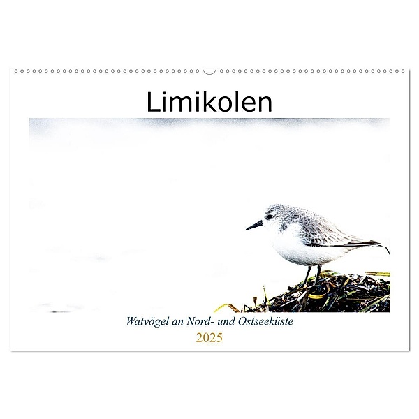 Limikolen - Watvögel an Nord- und Ostseeküste (Wandkalender 2025 DIN A2 quer), CALVENDO Monatskalender, Calvendo, Christof Martin