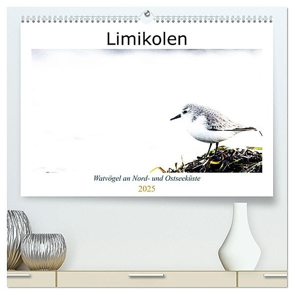 Limikolen - Watvögel an Nord- und Ostseeküste (hochwertiger Premium Wandkalender 2025 DIN A2 quer), Kunstdruck in Hochglanz, Calvendo, Christof Martin