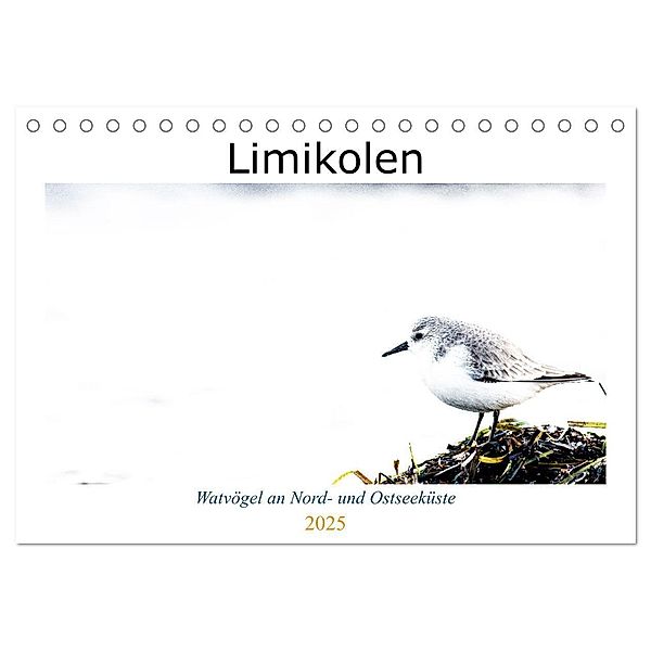 Limikolen - Watvögel an Nord- und Ostseeküste (Tischkalender 2025 DIN A5 quer), CALVENDO Monatskalender, Calvendo, Christof Martin