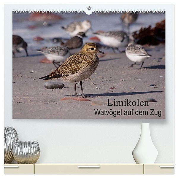 Limikolen Watvögel auf dem Zug (hochwertiger Premium Wandkalender 2024 DIN A2 quer), Kunstdruck in Hochglanz, Winfried Erlwein