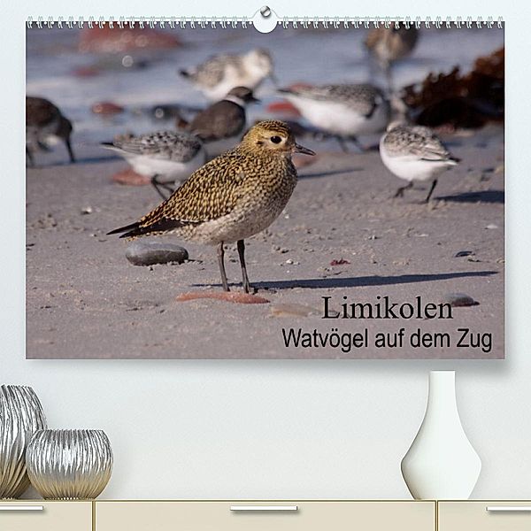 Limikolen Watvögel auf dem Zug (Premium, hochwertiger DIN A2 Wandkalender 2023, Kunstdruck in Hochglanz), Winfried Erlwein