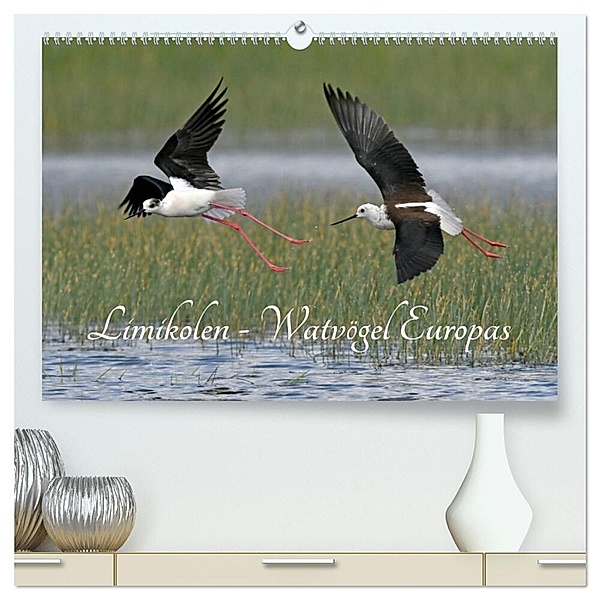 Limikolen - Watvögel Europas (hochwertiger Premium Wandkalender 2024 DIN A2 quer), Kunstdruck in Hochglanz, Benny Trapp