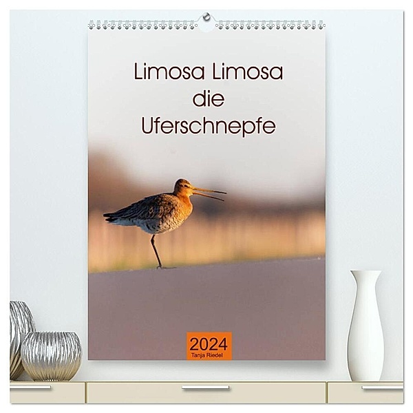 Limosa Limosa die Uferschnepfe (hochwertiger Premium Wandkalender 2024 DIN A2 hoch), Kunstdruck in Hochglanz, Tanja Riedel