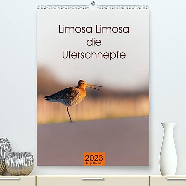 Limosa Limosa die Uferschnepfe (Premium, hochwertiger DIN A2 Wandkalender 2023, Kunstdruck in Hochglanz), Tanja Riedel