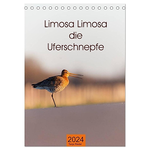 Limosa Limosa die Uferschnepfe (Tischkalender 2024 DIN A5 hoch), CALVENDO Monatskalender, Tanja Riedel
