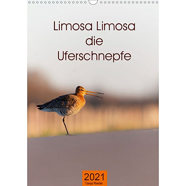 Limosa Limosa die Uferschnepfe (Wandkalender 2021 DIN A3 hoch), Tanja Riedel