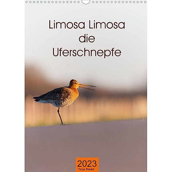Limosa Limosa die Uferschnepfe (Wandkalender 2023 DIN A3 hoch), Tanja Riedel