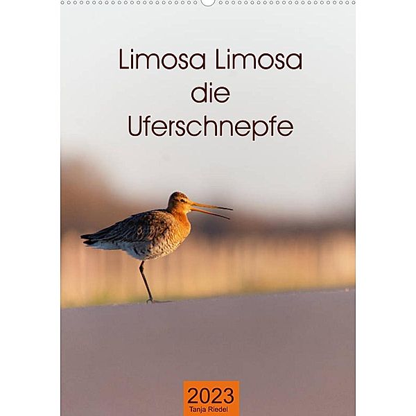 Limosa Limosa die Uferschnepfe (Wandkalender 2023 DIN A2 hoch), Tanja Riedel