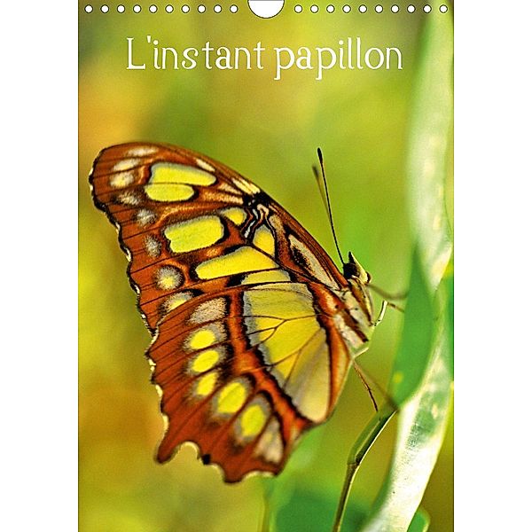 L'instant papillon (Calendrier mural 2021 DIN A4 vertical), Patrice Thébault