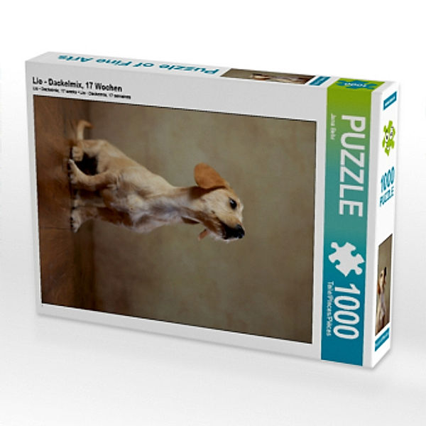 Lio - Dackelmix, 17 Wochen (Puzzle), Jana Behr