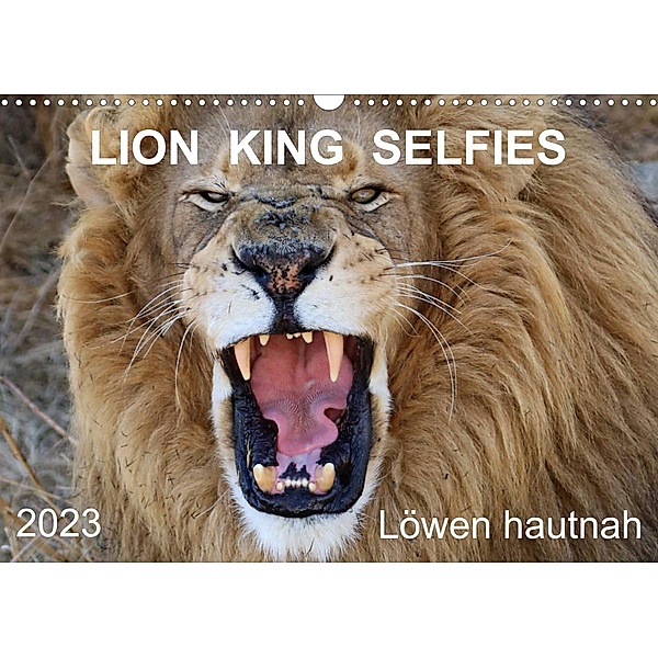 LION KING SELFIES Löwen hautnah (Wandkalender 2023 DIN A3 quer), Barbara Fraatz