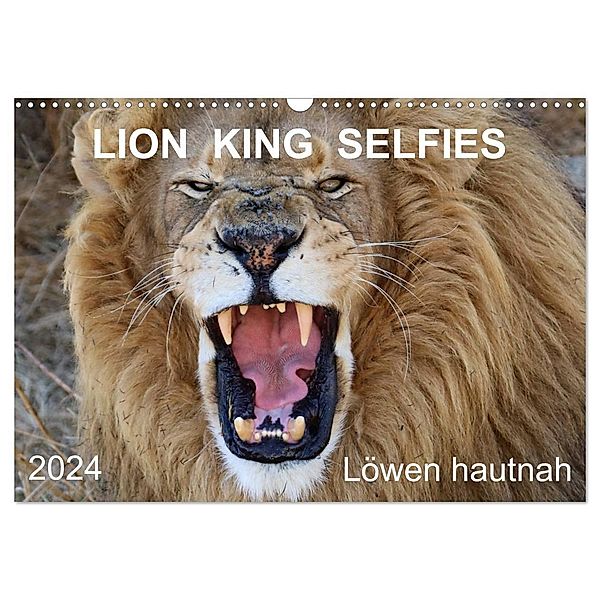 LION KING SELFIES Löwen hautnah (Wandkalender 2024 DIN A3 quer), CALVENDO Monatskalender, Barbara Fraatz