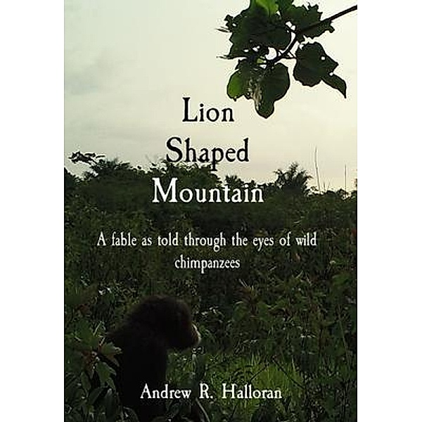 Lion Shaped Mountain, Andrew Halloran