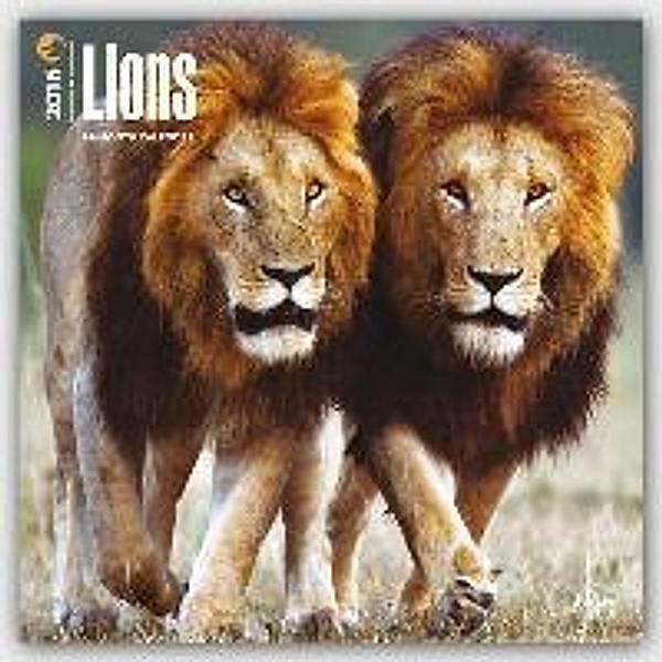 Lions 2016