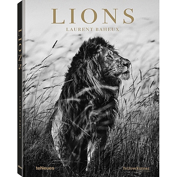 Lions, Laurent Baheux