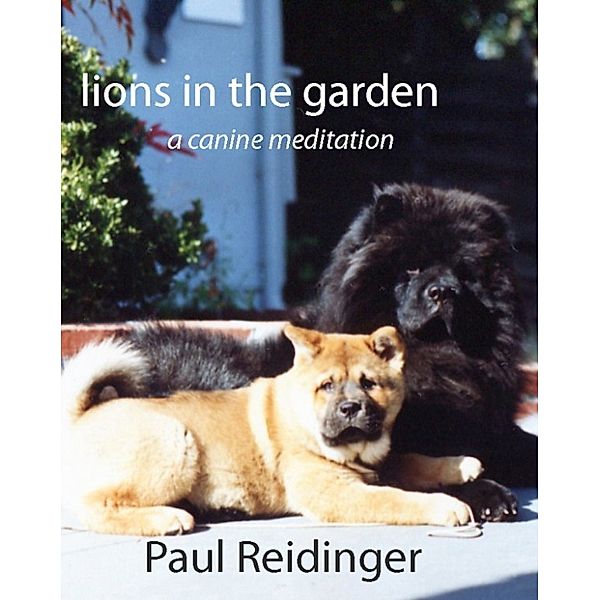 Lions in the Garden: A Canine Meditation, Paul Reidinger