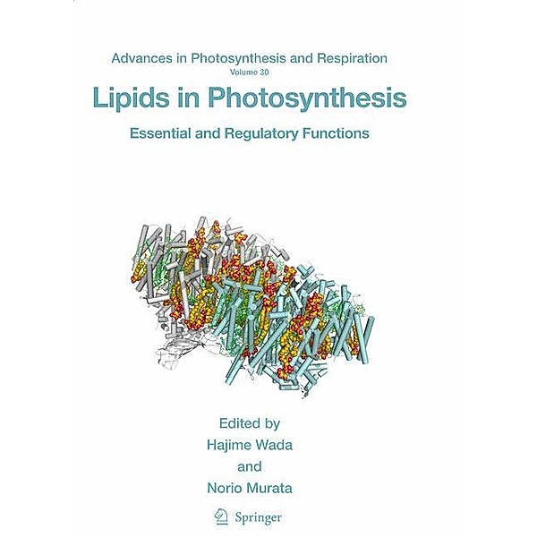 Lipids in Photosynthesis