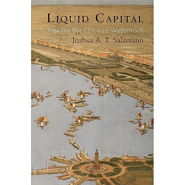 Liquid Capital / American Business, Politics, and Society, Joshua A. T. Salzmann