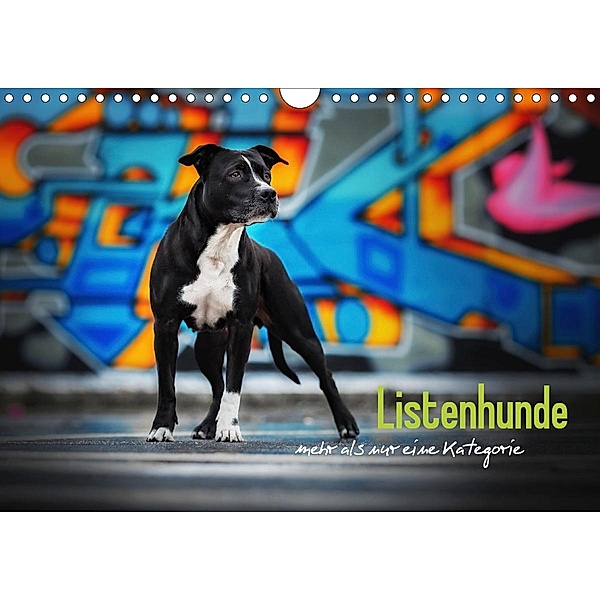 Listenhunde - mehr als nur eine Kategorie (Wandkalender 2021 DIN A4 quer), Sabrina Wobith Photography