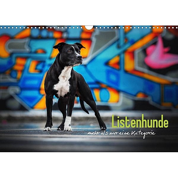 Listenhunde - mehr als nur eine Kategorie (Wandkalender 2023 DIN A3 quer), Sabrina Wobith Photography