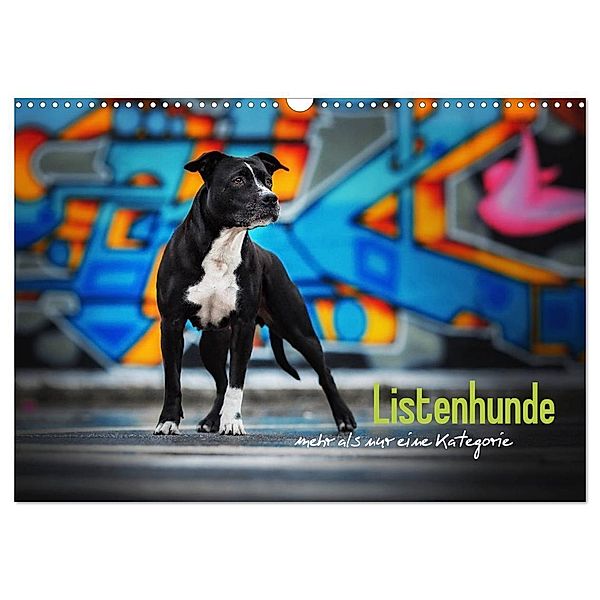 Listenhunde - mehr als nur eine Kategorie (Wandkalender 2024 DIN A3 quer), CALVENDO Monatskalender, Sabrina Wobith Photography