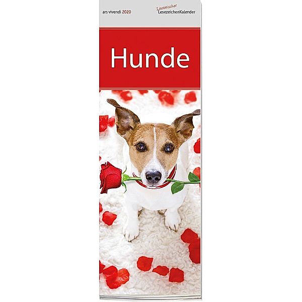 Literarischer Lesezeichenkalender Hunde 2020