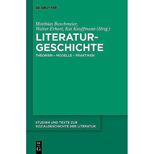 Literaturgeschichte / Studien und Texte zur Sozialgeschichte der Literatur Bd.138