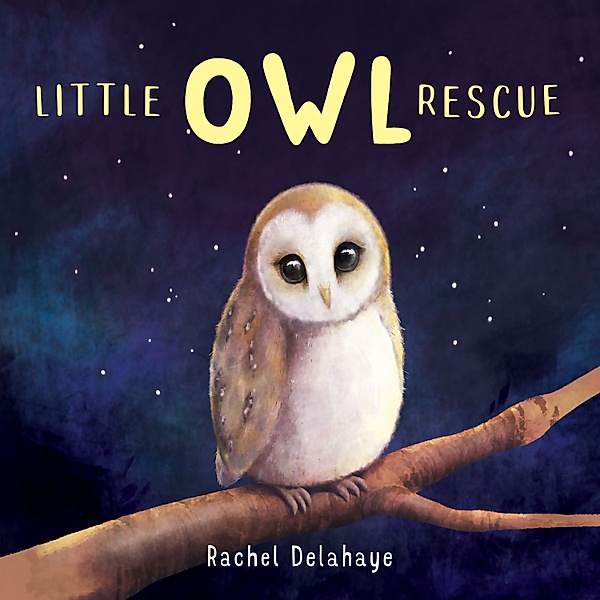 Little Animal Rescue - 5 - Little Owl Rescue, Rachel Delahaye