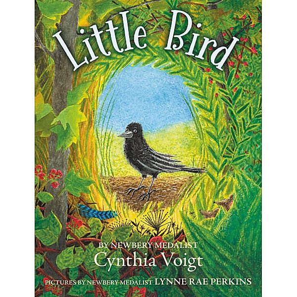 Little Bird, Cynthia Voigt