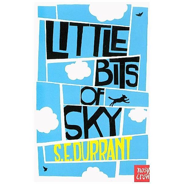 Little Bits of Sky, Sue Durrant