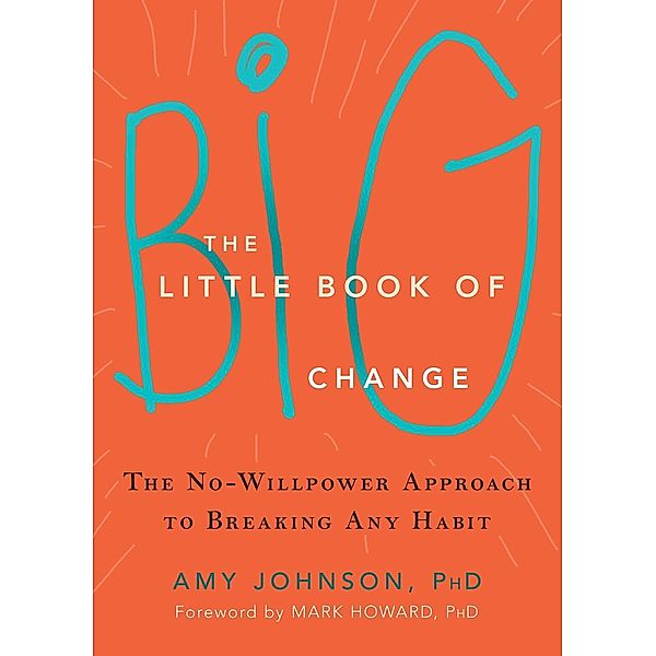 Little Book of Big Change, Amy Johnson