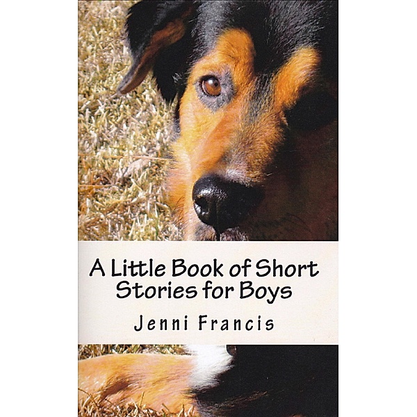 Little Book of Short Stories for Boys / Jenni Francis, Jenni Francis