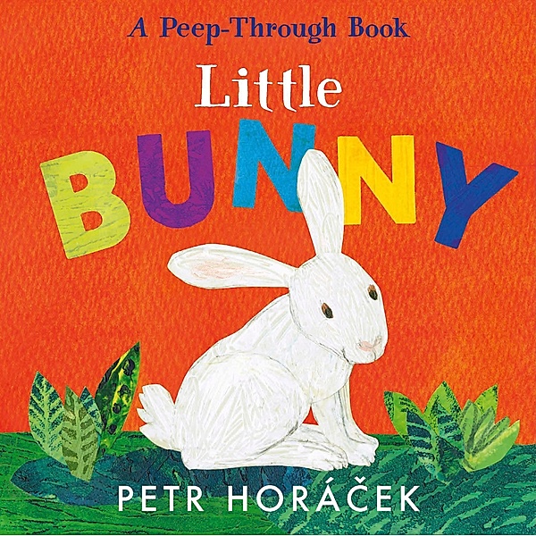 Little Bunny, Petr Horácek