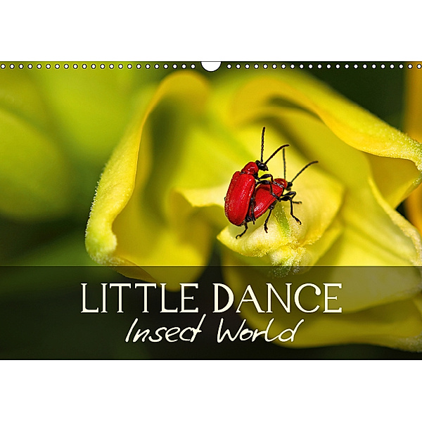 Little Dance Insect World (Wall Calendar 2019 DIN A3 Landscape), Vronja Photon
