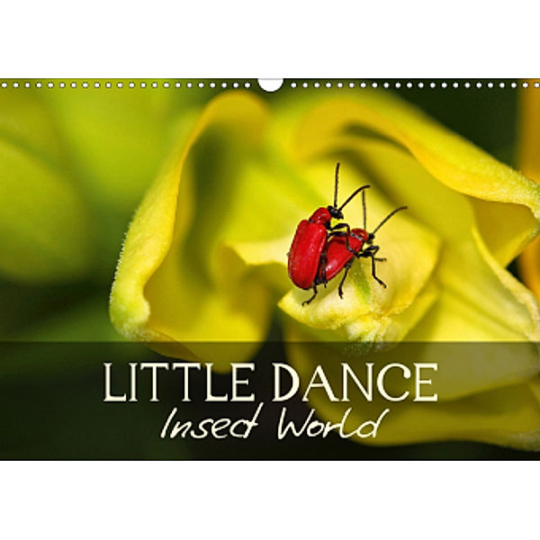 Little Dance Insect World (Wall Calendar 2021 DIN A3 Landscape), Vronja Photon