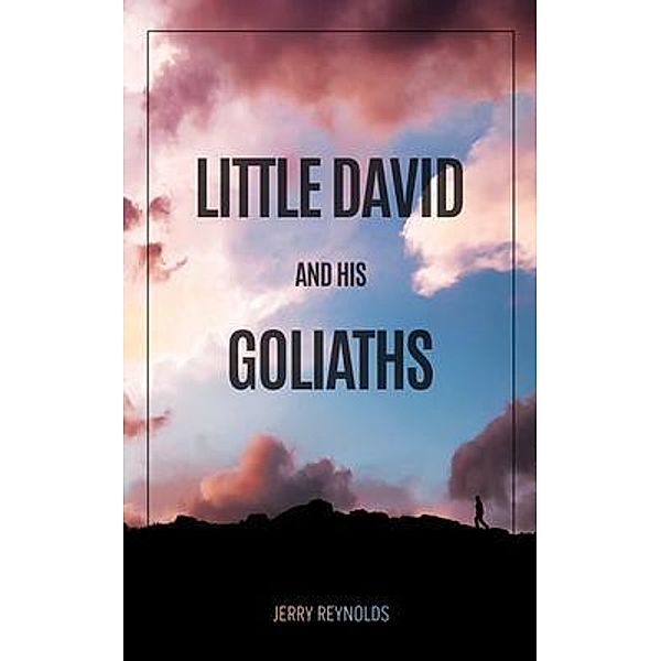 LITTLE DAVID AND GOLIATHS / Gotham Books, Jerry Reynolds