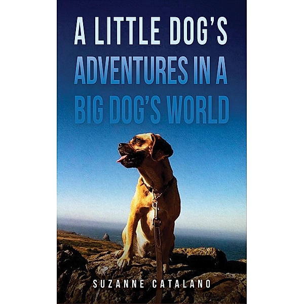 Little Dog's Adventures in a Big Dog's World, Suzanne Catalano