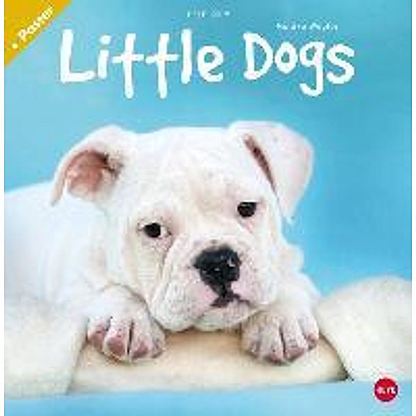 Little Dogs Broschur 2015, Monika Wegler