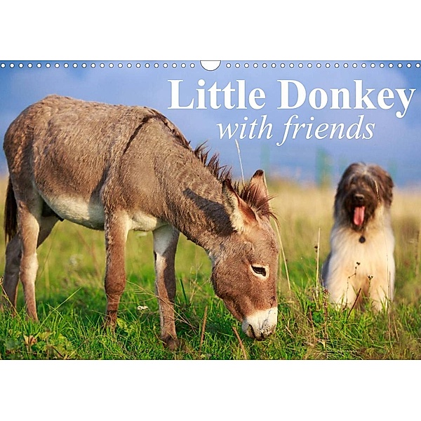 Little Donkey with Friends (Wall Calendar 2022 DIN A3 Landscape), Elisabeth Stanzer