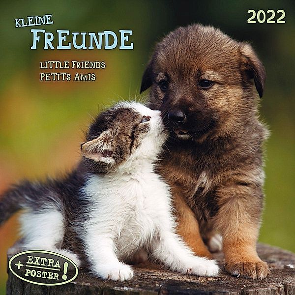 Little Friends/Kleine Freunde 2022