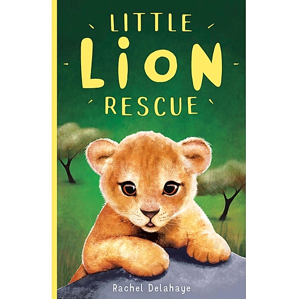 Little Lion Rescue / Little Animal Rescue Bd.1, Rachel Delahaye