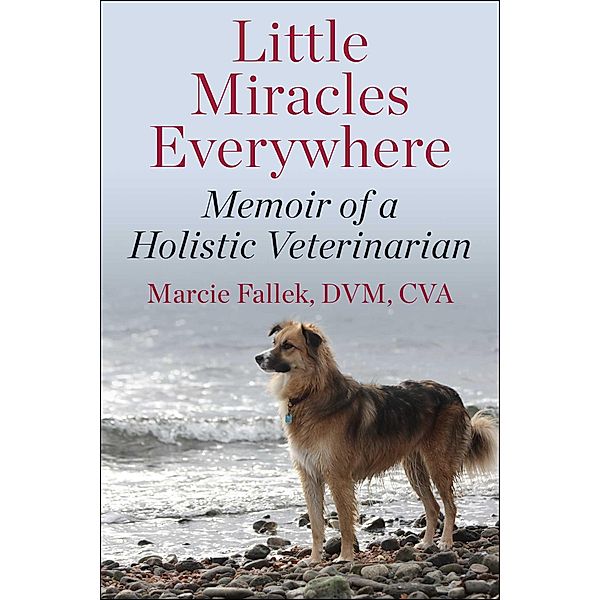 Little Miracles Everywhere, Marcie Fallek