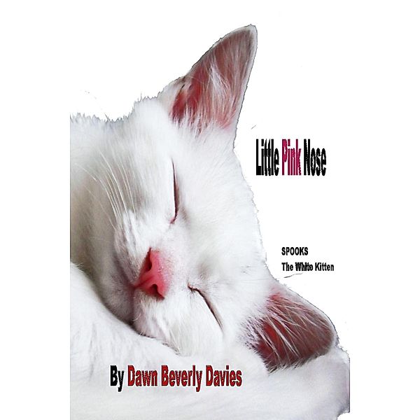 Little Pink Nose / Dawn B Davies, Dawn B Davies