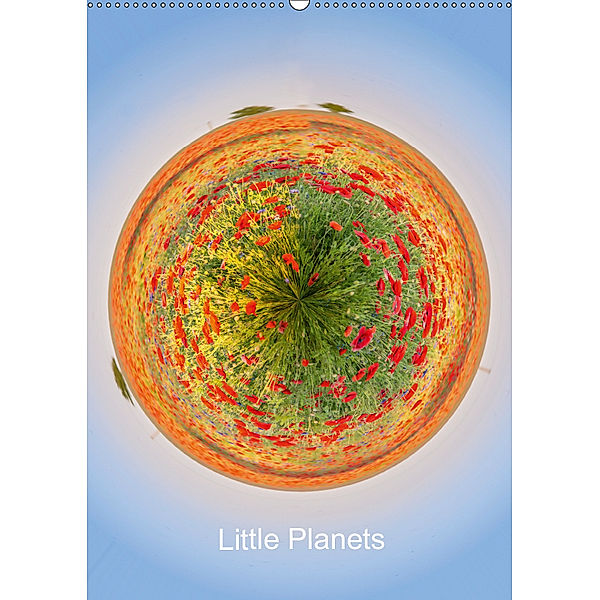 Little Planets (Wandkalender 2019 DIN A2 hoch), Patricia Stein