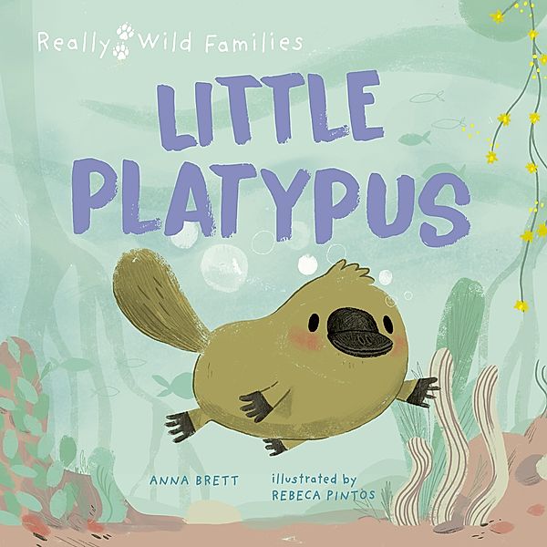 Little Platypus / Really Wild Families, Anna Brett
