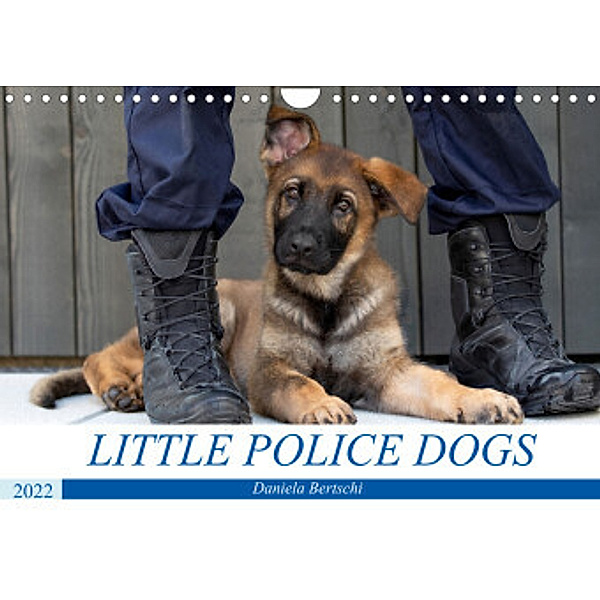 Little Police Dogs (Wandkalender 2022 DIN A4 quer), Daniela Bertschi
