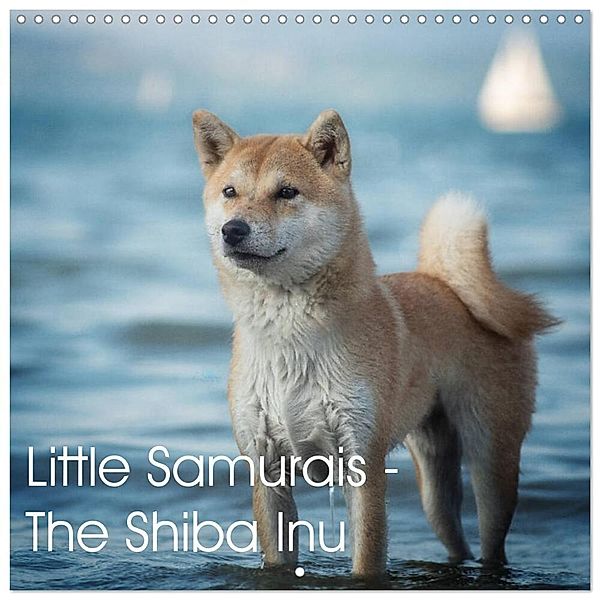 Little Samurais - The Shiba Inu (Wall Calendar 2025 12 × 12 Inch) CALVENDO 12 Month Wall Calendar, Calvendo, Tamashinu Photography