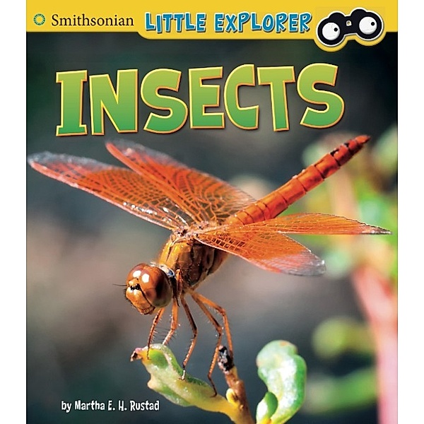 Little Scientist: Insects, Martha E. H. Rustad