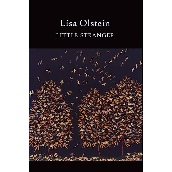 Little Stranger, Lisa Olstein